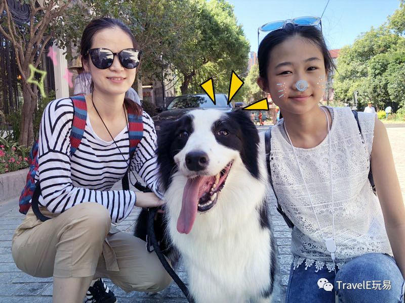 上海老城游览计划，狗狗导游的特别行动