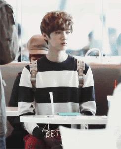 鹿晗红还是杨幂红,鹿晗凭什么成为顶流