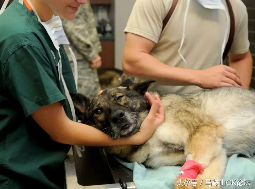 就凭这张纸，收入大涨哦！下半年马鞍山有一大波人收入要增加！