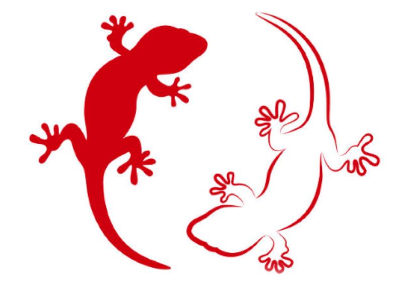 有剧毒的动物可以毁容吗,有剧毒又可怕的动物