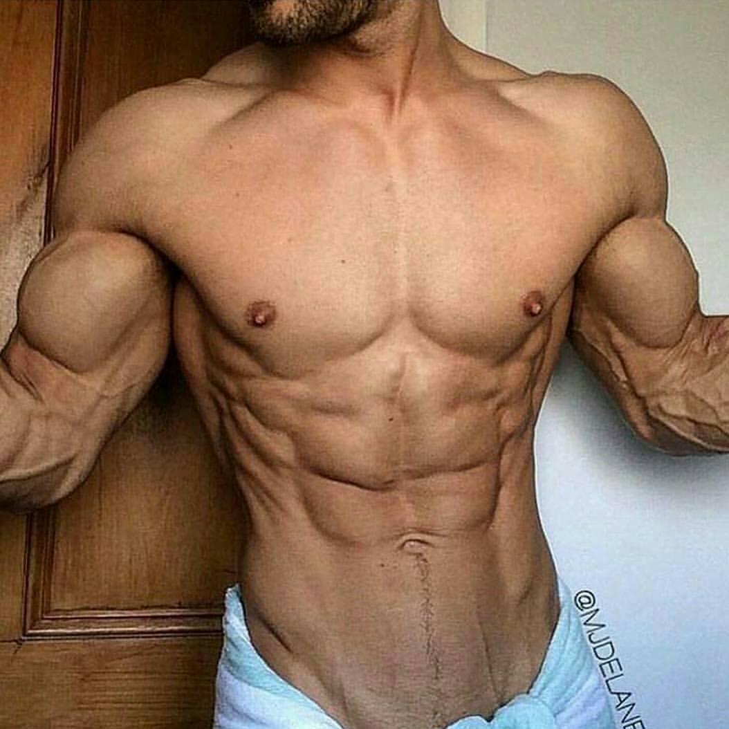 人鱼线和马甲线身材对照表,人鱼线和马甲线的锻炼方法