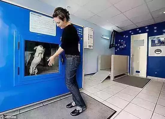 史上最奇葩泳衣,史上最奇葩的搞笑发明