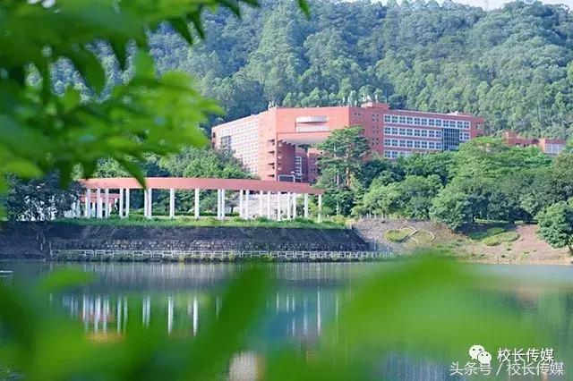 当你第一次看世界杯决赛,看世界杯决赛感受