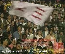 泰达现在情况怎么样了,泰达这五年