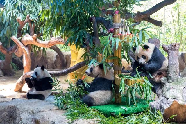 最适合暑假去的游乐场而且便宜,暑假带孩子去的游乐园推荐