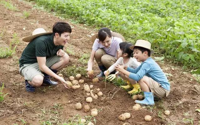 家庭农场和农业合作社,中小农业合作社贷款政策