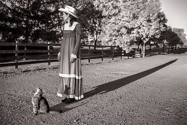 佛系喵什么意思,稀奇佛系猫