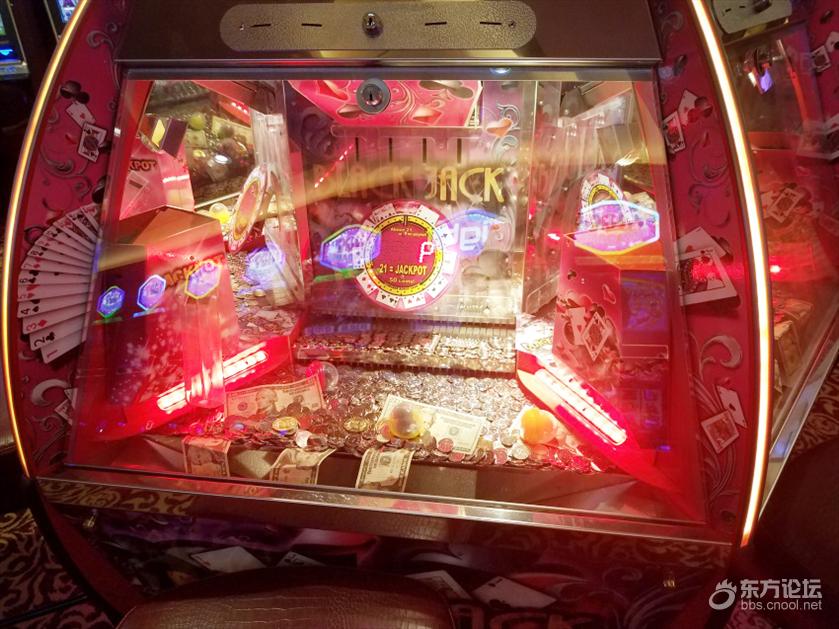 坐奢华游轮什么感受？房间就像漂在海上量子号游记！