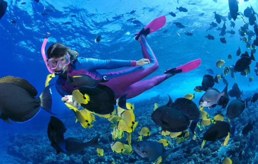 去马尔代夫不会游泳怎么办,去马尔代夫玩不住酒店可以吗