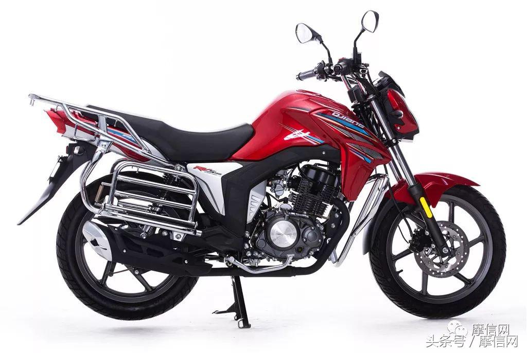 钱江龙御龙猛龙飞龙哪个好,猛龙御龙钱江龙