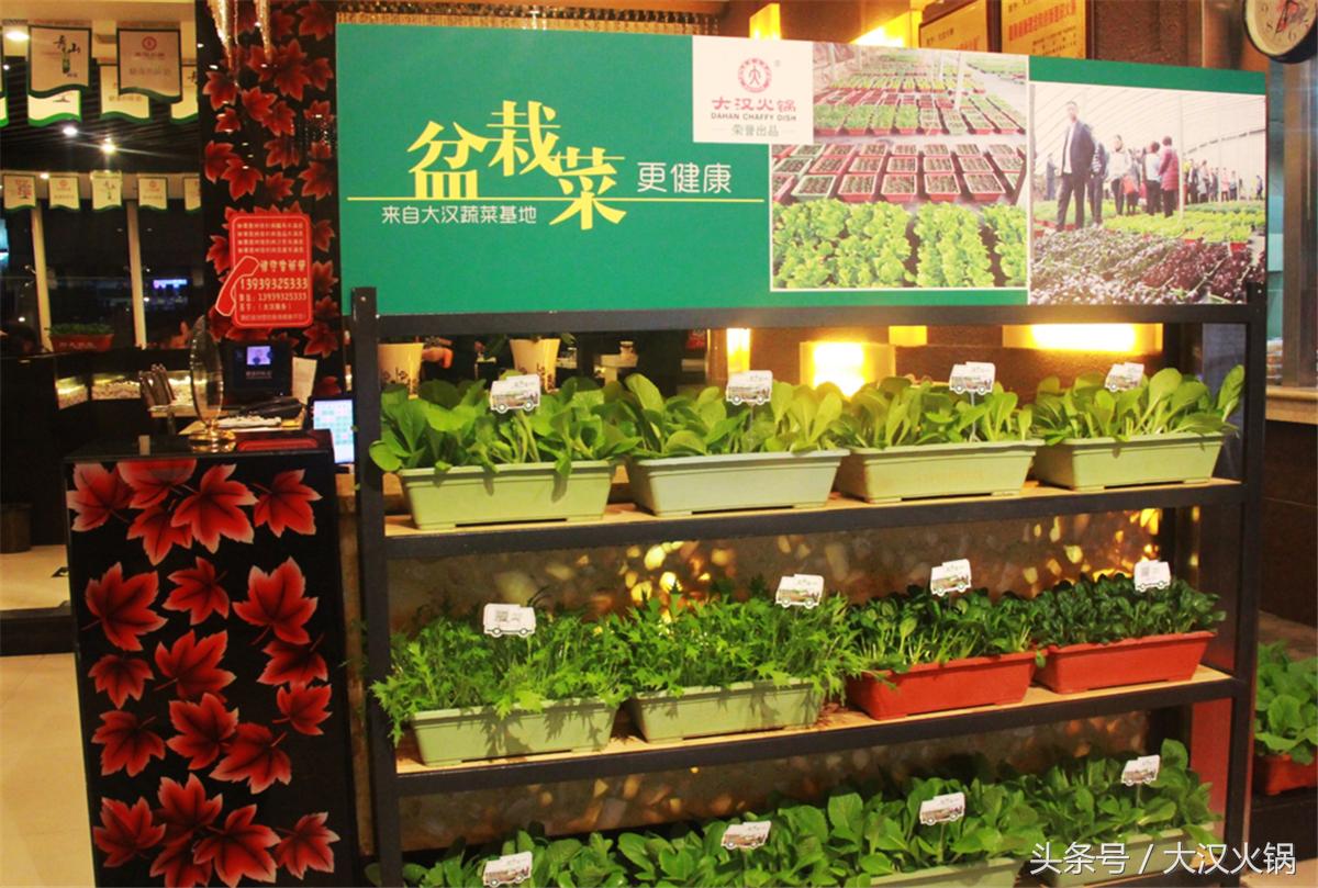 大汉火锅馆,大汉火锅生活馆