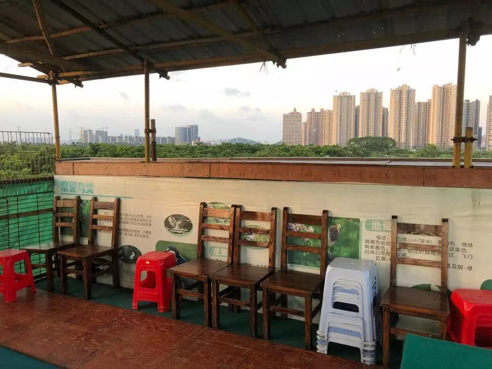 广东佛山鸟叔的视频,顺德鸟叔全景图