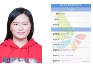 成都市新格林艺术高级中学官网,新格林艺术学校排名