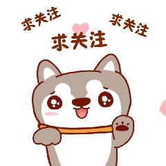 社会中的三彩艺术装饰,社会鉴赏家