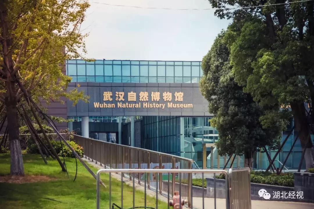 民航局要求退机票,民航取消机票改签不需要补差价吧