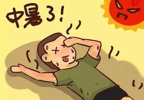 狗中暑的急救治疗方法,中暑了怎么办教你一招就有效