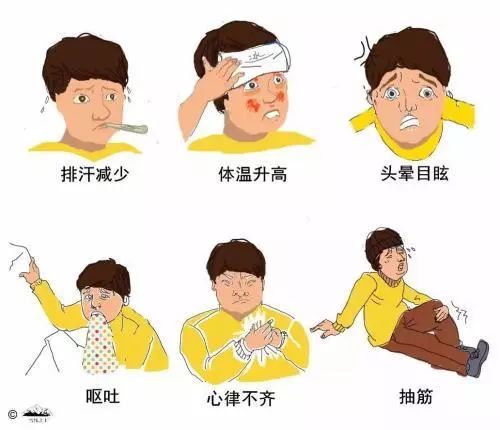 狗中暑的急救治疗方法,中暑了怎么办教你一招就有效