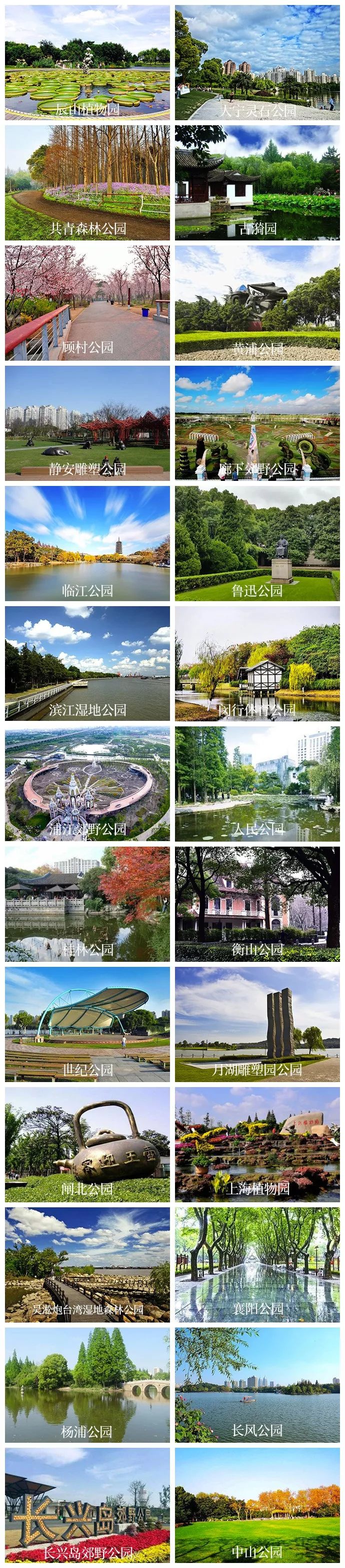 别再问我上海哪里好玩，我反手一篇文章甩给TA