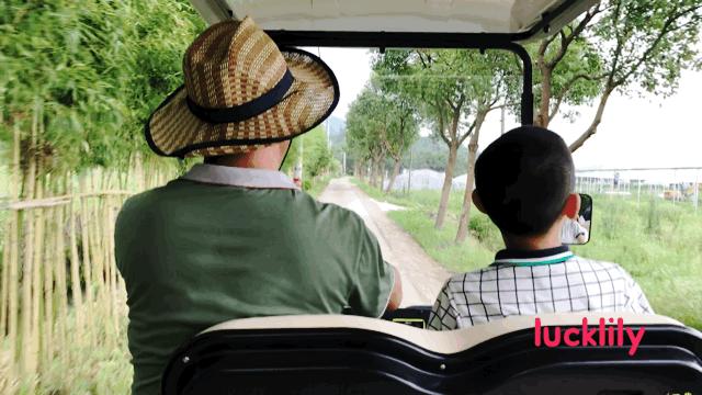 义远农场亲子探险露营：帐篷、萤火虫、足球冰淇淋、竹水枪、采摘