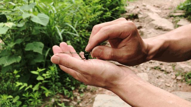义远农场亲子探险露营：帐篷、萤火虫、足球冰淇淋、竹水枪、采摘