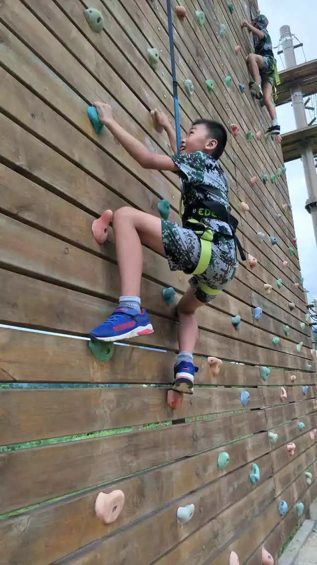 为什么让孩子参加冬令营,为什么一定要让孩子参加冬令营