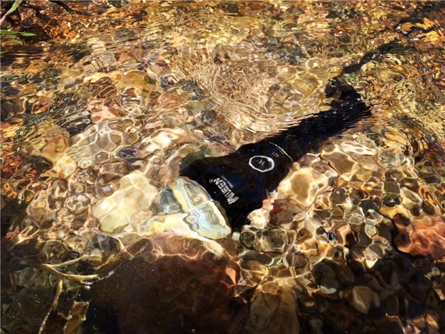 一射就是一大片，务本A214200流明直充强光手电实测