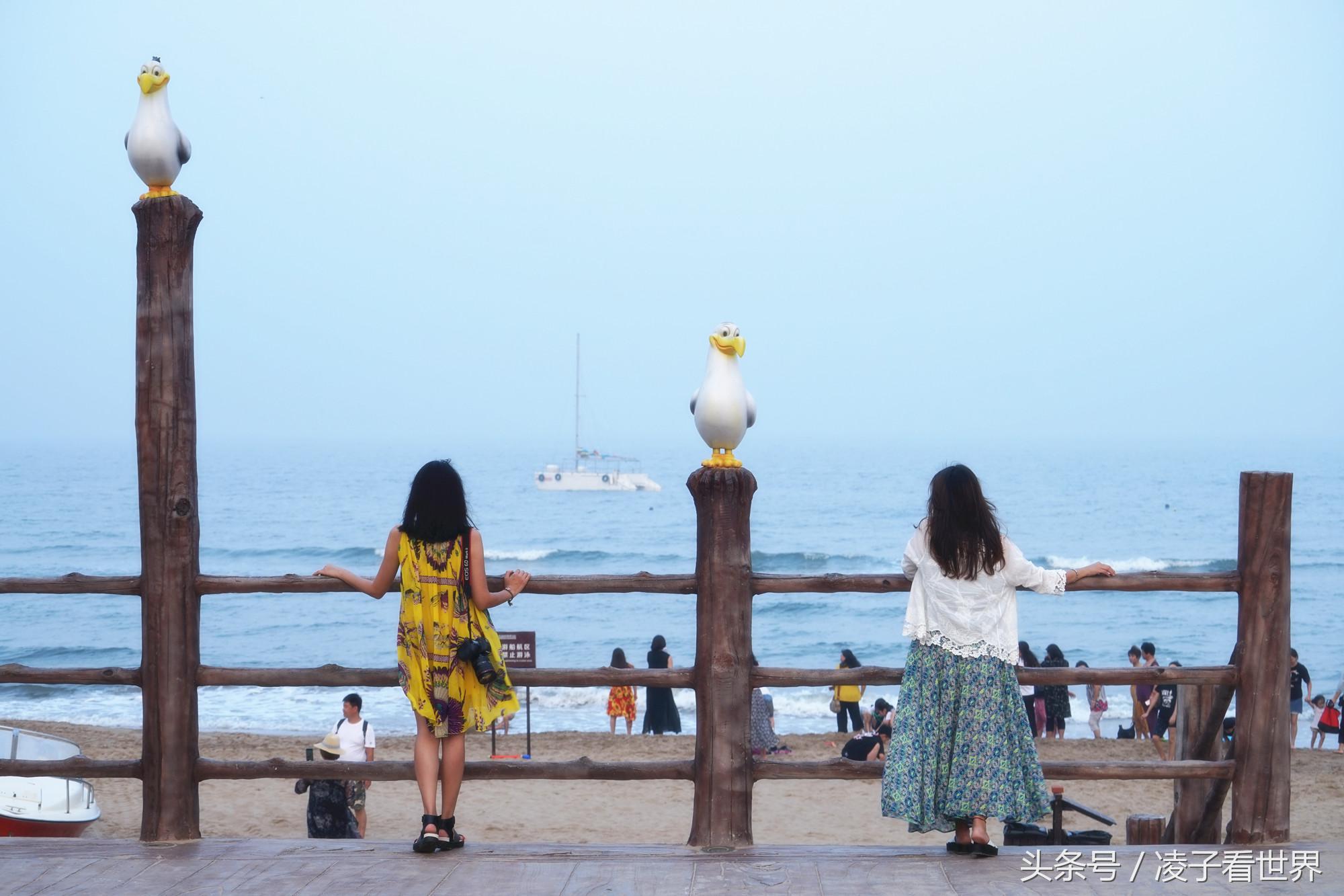 沙滩拾贝壳景区,沙滩花海美景