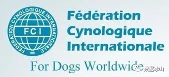 遇见遛狗的小姐姐怎么聊天,单身狗怎么吸引妹子