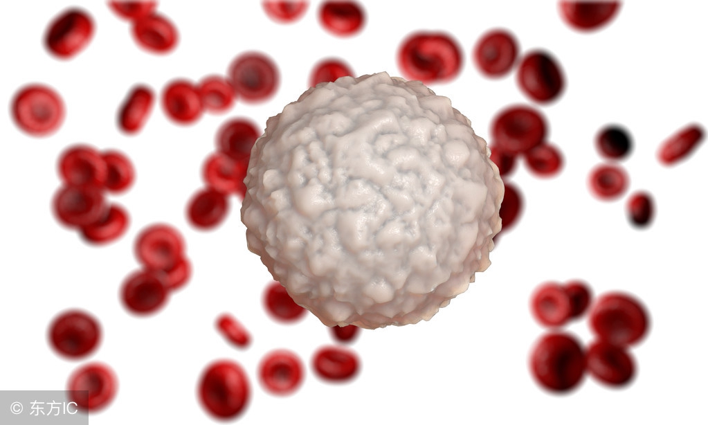 不治疗白血病会如何,治不好的白血病