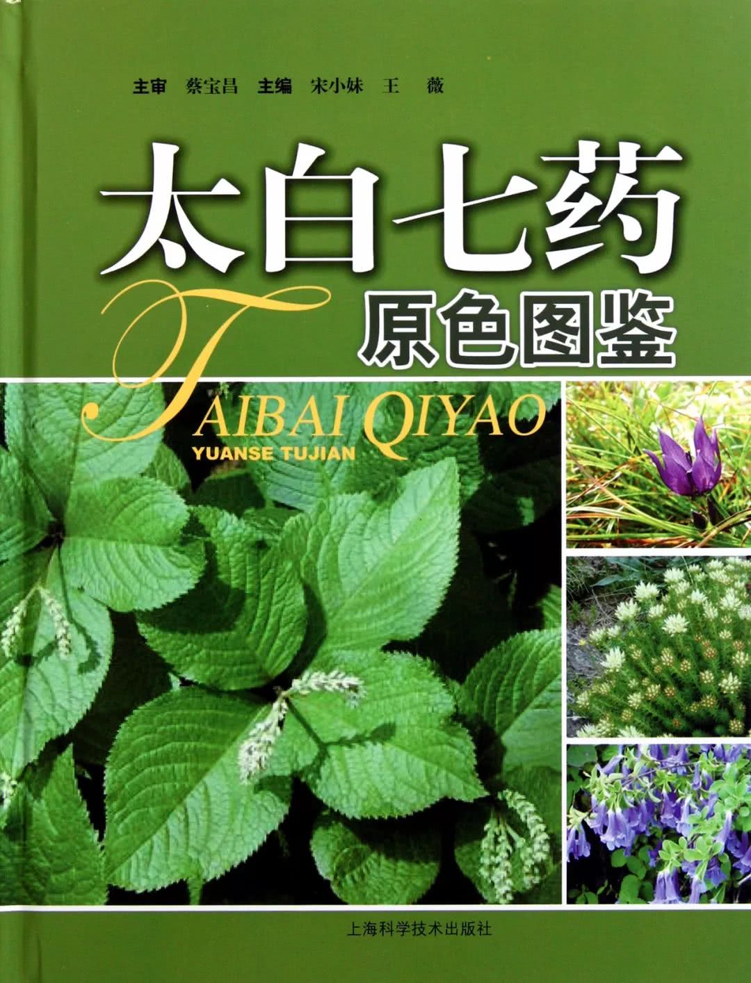 太白山野生珍稀植物——七十二种“七药”