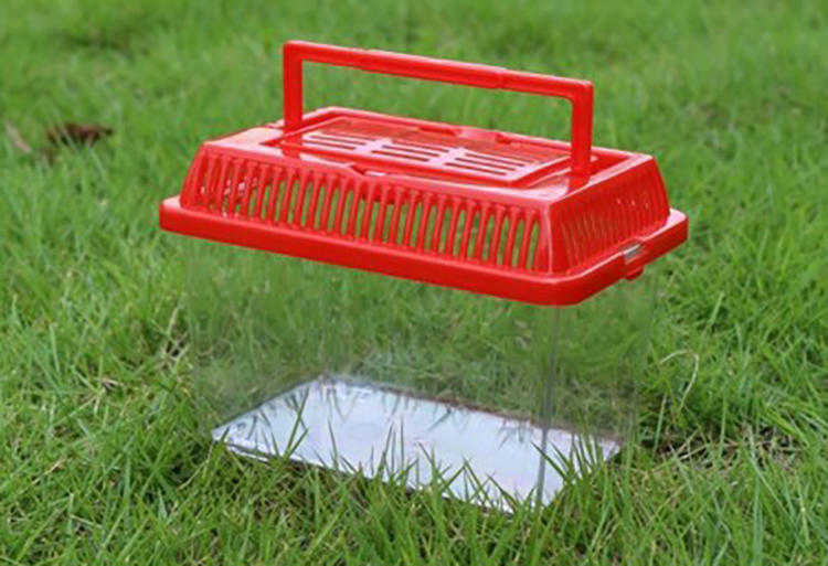 仓鼠如何饲养教程,新手养仓鼠该用什么笼子