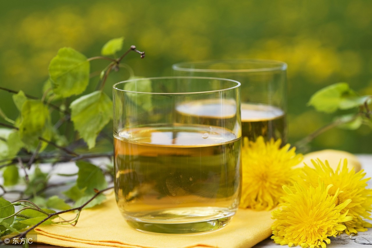 本草纲目蒲公英的验方,蒲公英的常见药方