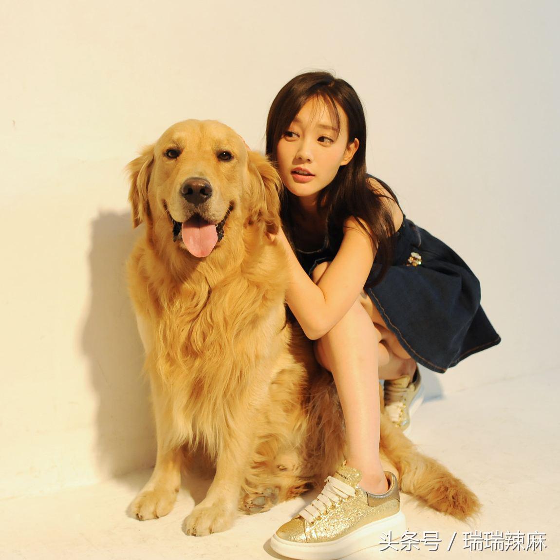 金毛犬得皮肤病期间可以洗澡吗,金毛犬老是有皮肤病吃什么狗粮