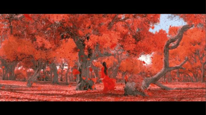 英雄被低估的电影,英雄电影被低估