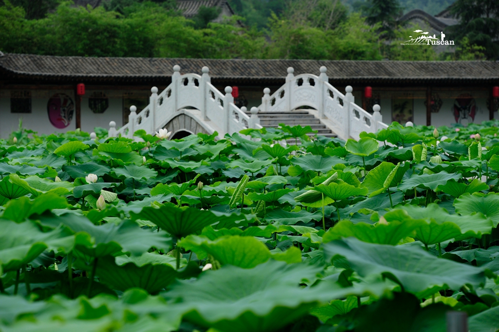 陕西除了黄土高坡，更有临渭迷人的青山绿水