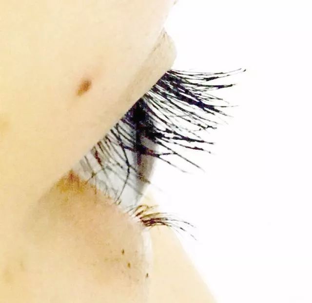 睫毛膏10大品牌推荐,平价卷翘睫毛膏测评