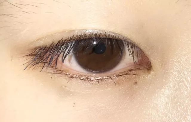 8款热门睫毛膏专业测评，Angelababy最爱的睫毛膏居然垫底了！