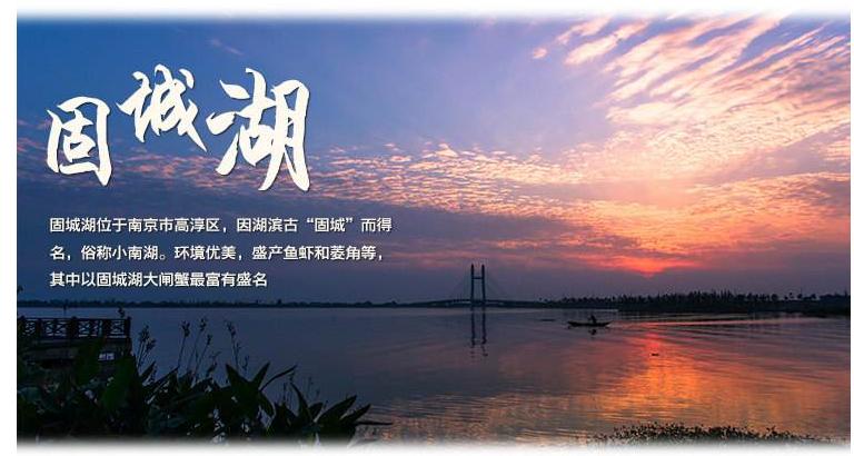 大闸蟹买阳澄湖还是固城湖好,活蟹正宗固城湖大闸蟹