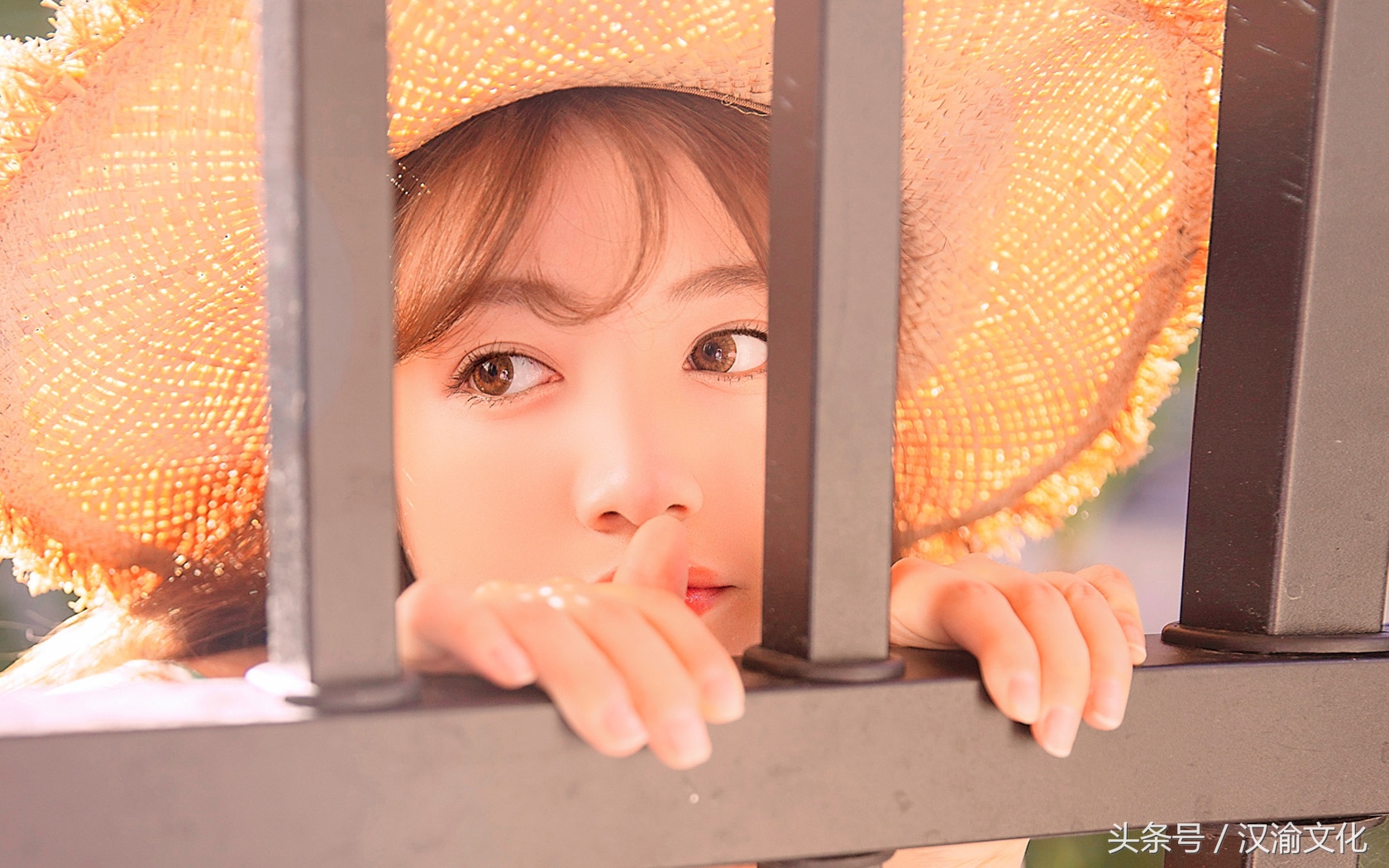 他是万人之上的帝国集团总裁,却护她,护到极致;宠她,宠到残忍