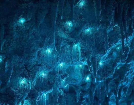 桂林最出名的两大洞穴,桂林洞穴