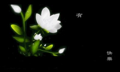 早安问候红颜知己歌曲,红颜知己的歌原唱