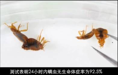 每晚6000000螨虫陪你睡？用它喷一喷，彻底除螨！