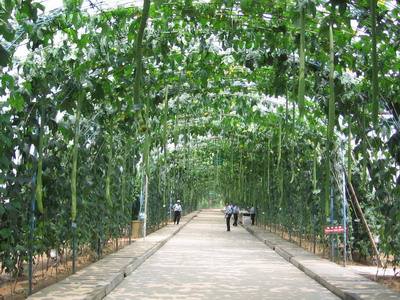 秦皇岛抚宁县免费旅游景点大全,秦皇岛旅游景点大全门票价格