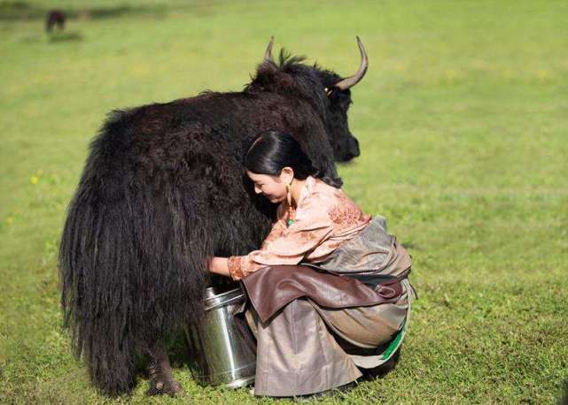 最近查出来的违规奶粉,最近哪些奶粉被罚款了