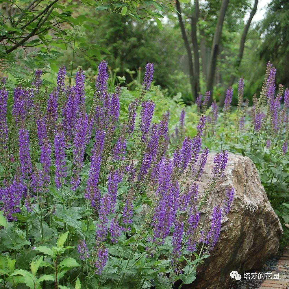 这座暗黑花园，不仅酷，还防涝