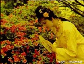 红楼梦中薛宝钗好看吗,红楼梦薛宝钗是好人还是坏人