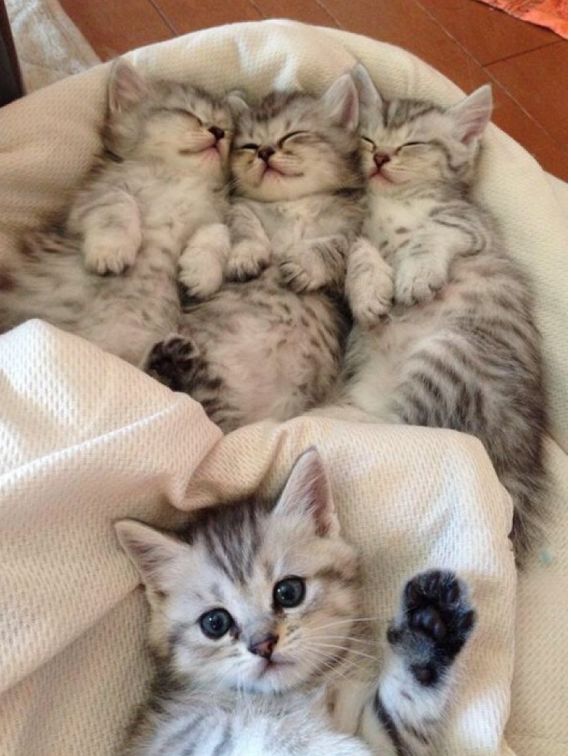 适合新手用的平价眼影,新手平价眼影高光修容一体盘推荐