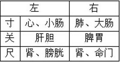 中医诊断学脉诊4,中医诊断学脉诊教学视频