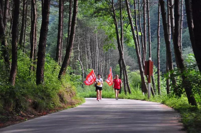 延安黄陵：首创“世界华人姓氏跑”开跑了，来看看你的姓氏队战绩吧！