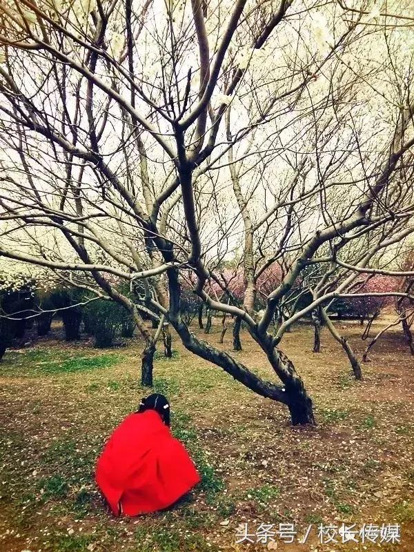 学习小古文的乐趣,小古文学习的方法和技巧